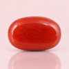 Red Coral (Moonga</span>