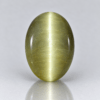 Cat’s Eye (Lehsunia</span>