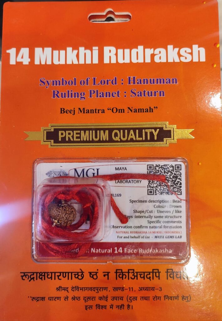 14 MUKHI RUDRAKSHA