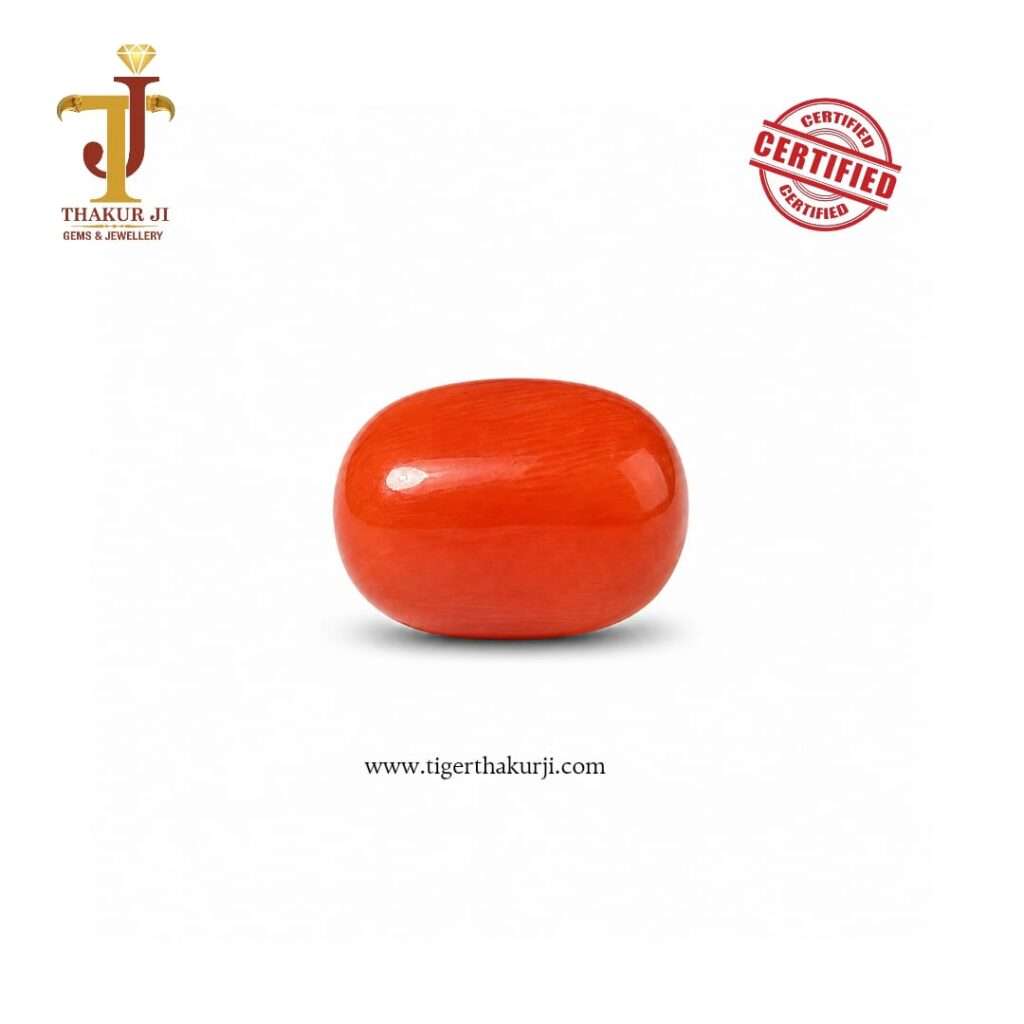 Premium Natural Italian Red Coral – 7.77 Carat